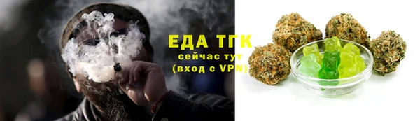 гидра Карпинск