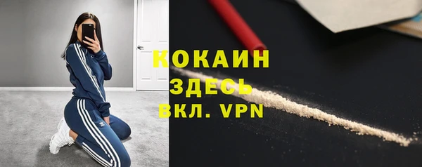 гидра Карпинск