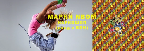 гидра Карпинск